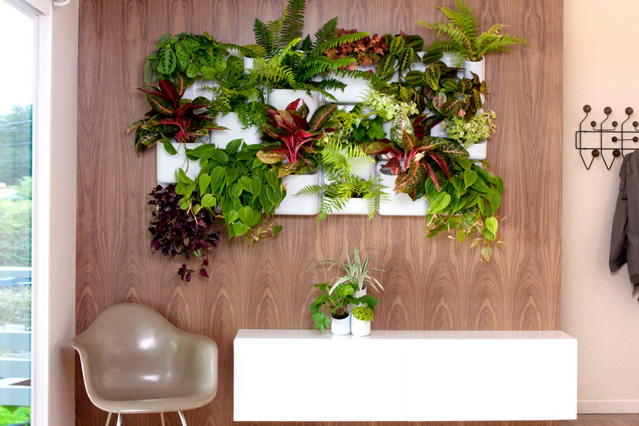 Advantages of Decorating Your Space with Plastic Plants